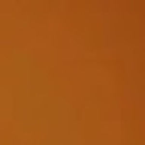 Meet your Posher, Malaika